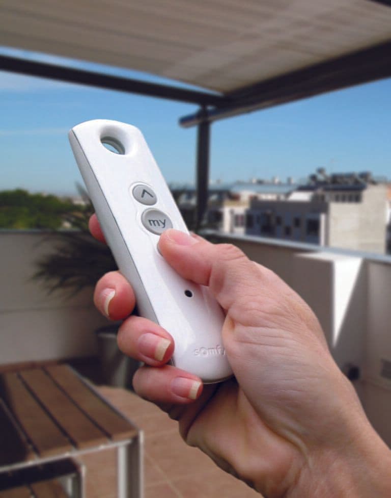 Remote-768x977.jpg